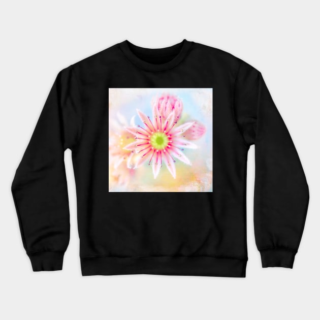 Live Forever - Flower Art Crewneck Sweatshirt by Amanda Jane